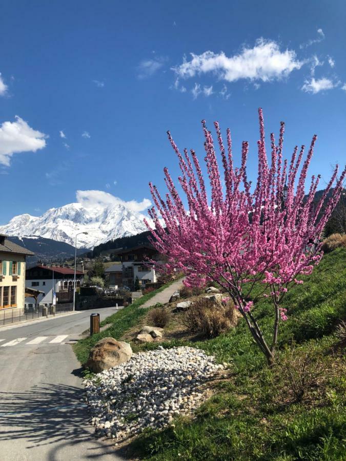 Le Floralp Aparthotel Combloux Exterior foto